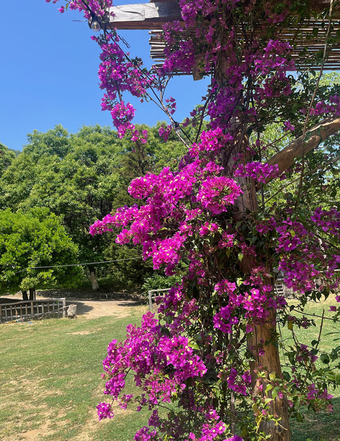 ft_agriturismi-a-castellammare