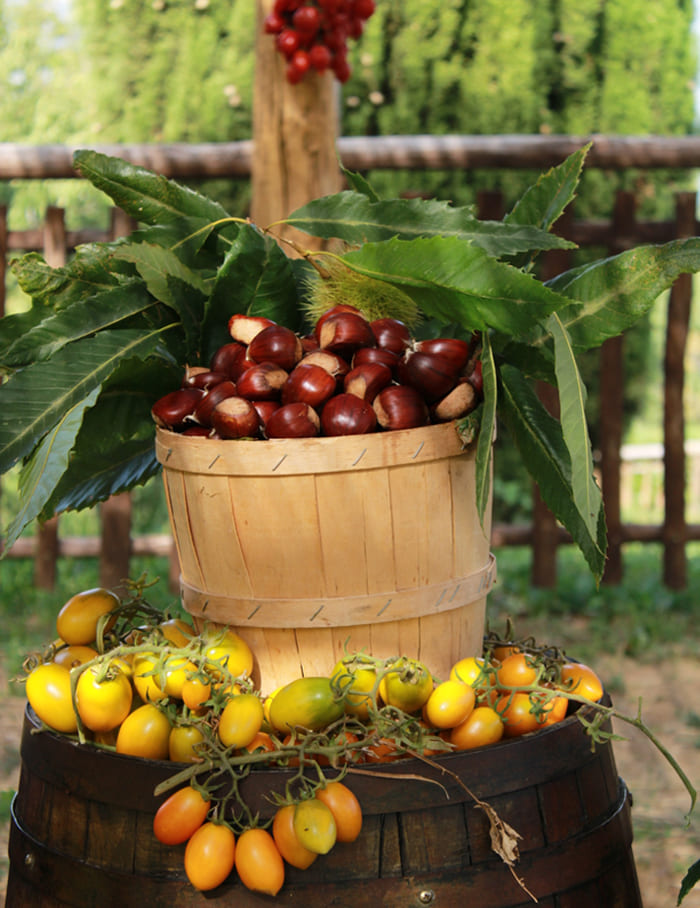 ft_agriturismi-a-pimonte